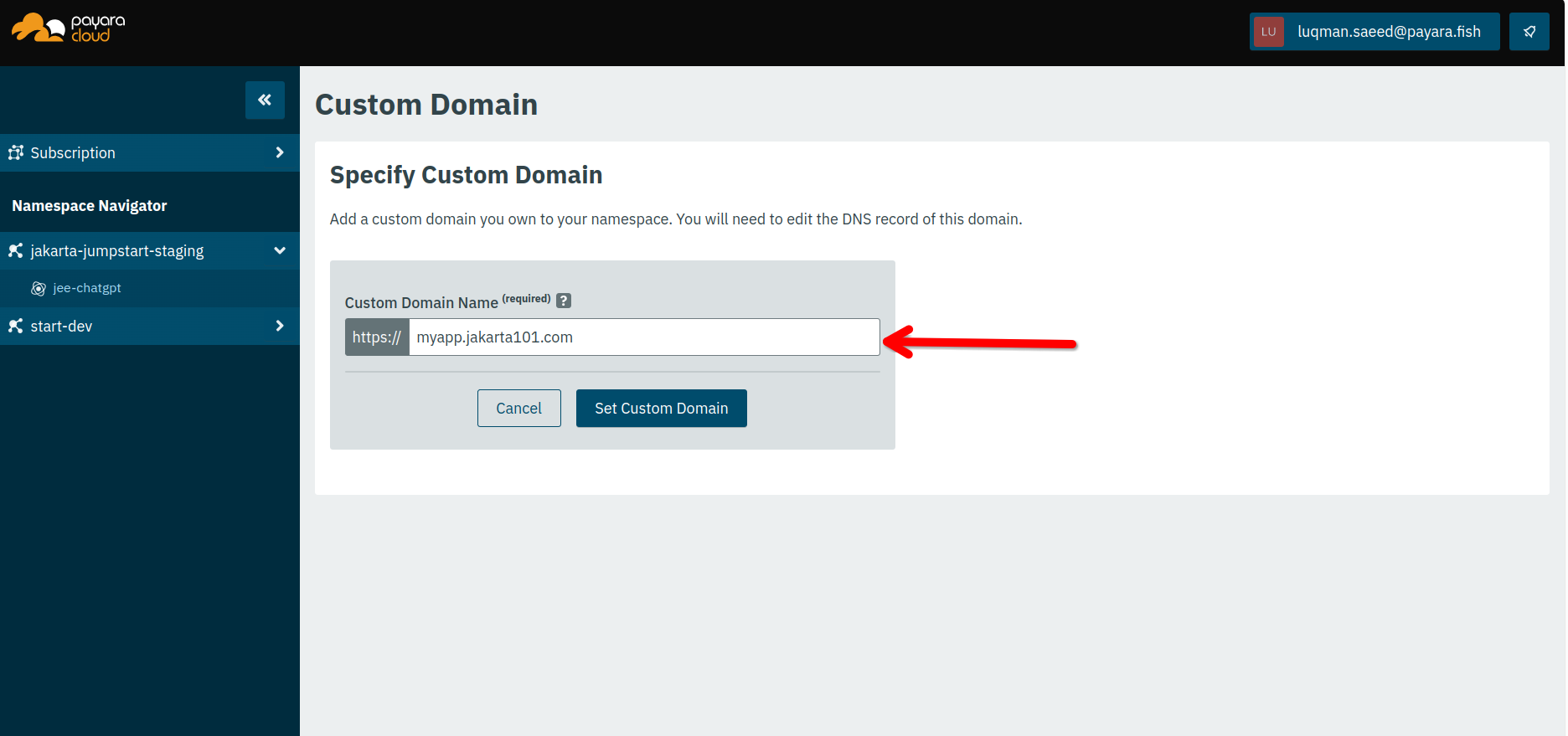 Interface for entering custom domain name
