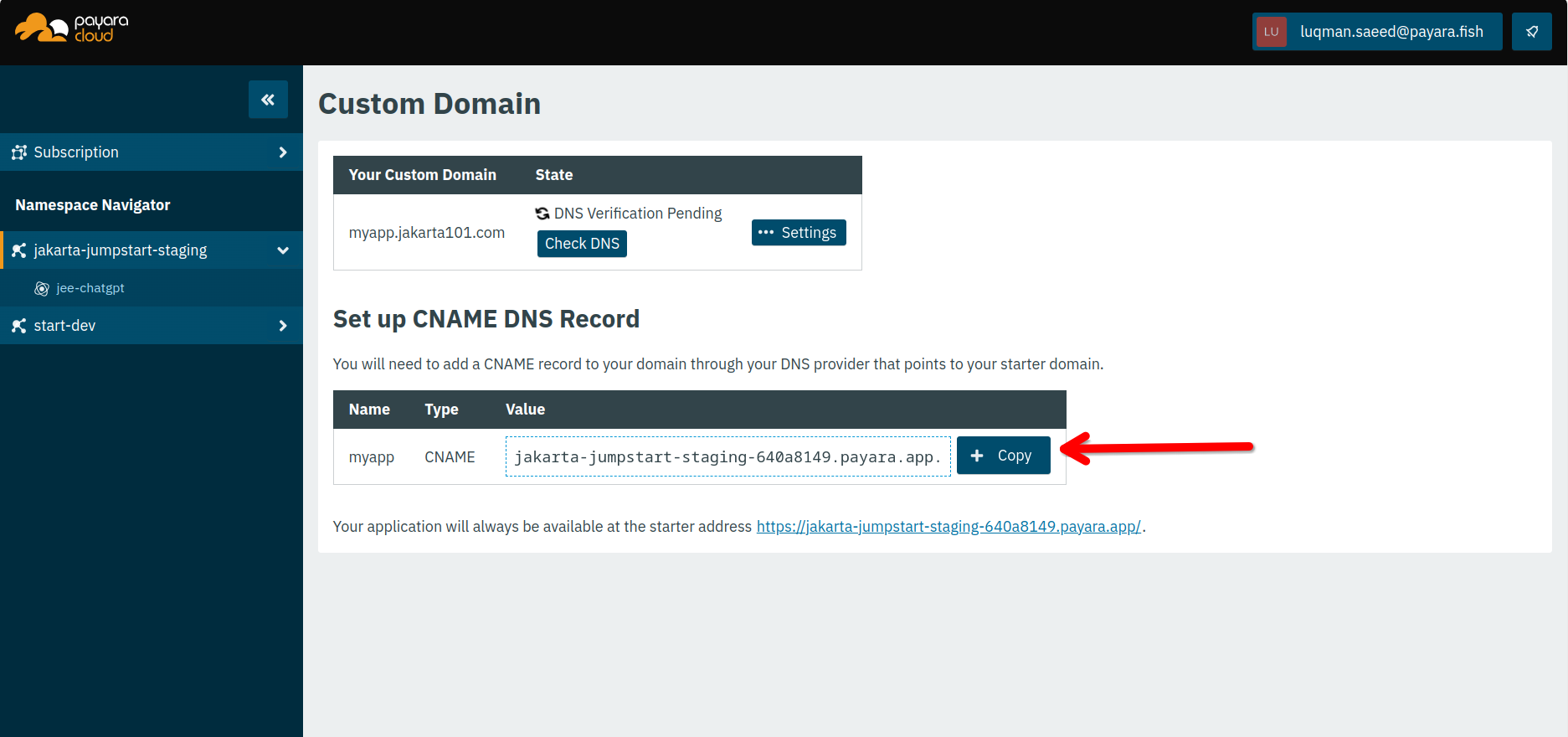 Interface displaying DNS info for custom domain setup