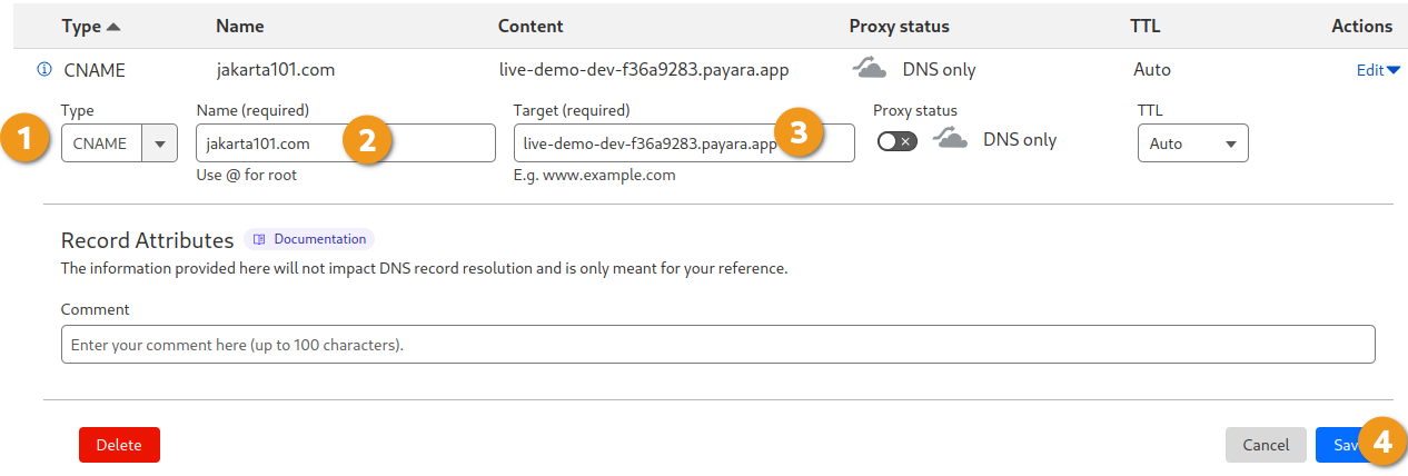 Cloudflare dns update view