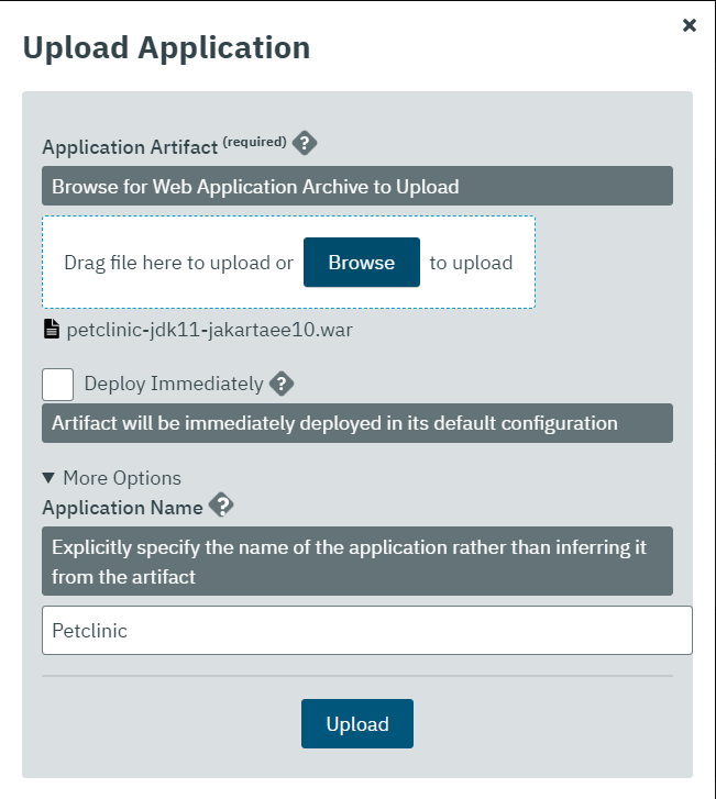 Application details post-upload