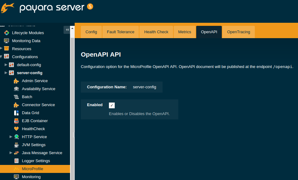 Set OpenAPI Configuration