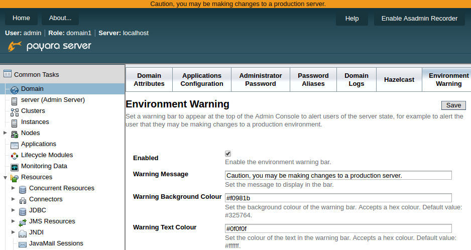 Payara Server 172 Environment Warning screenshot