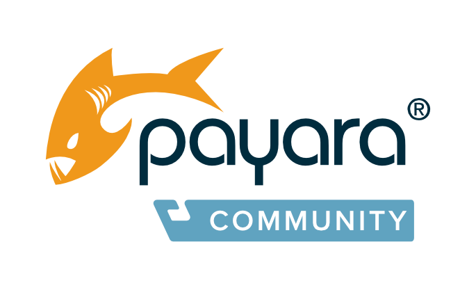 Payara Logo