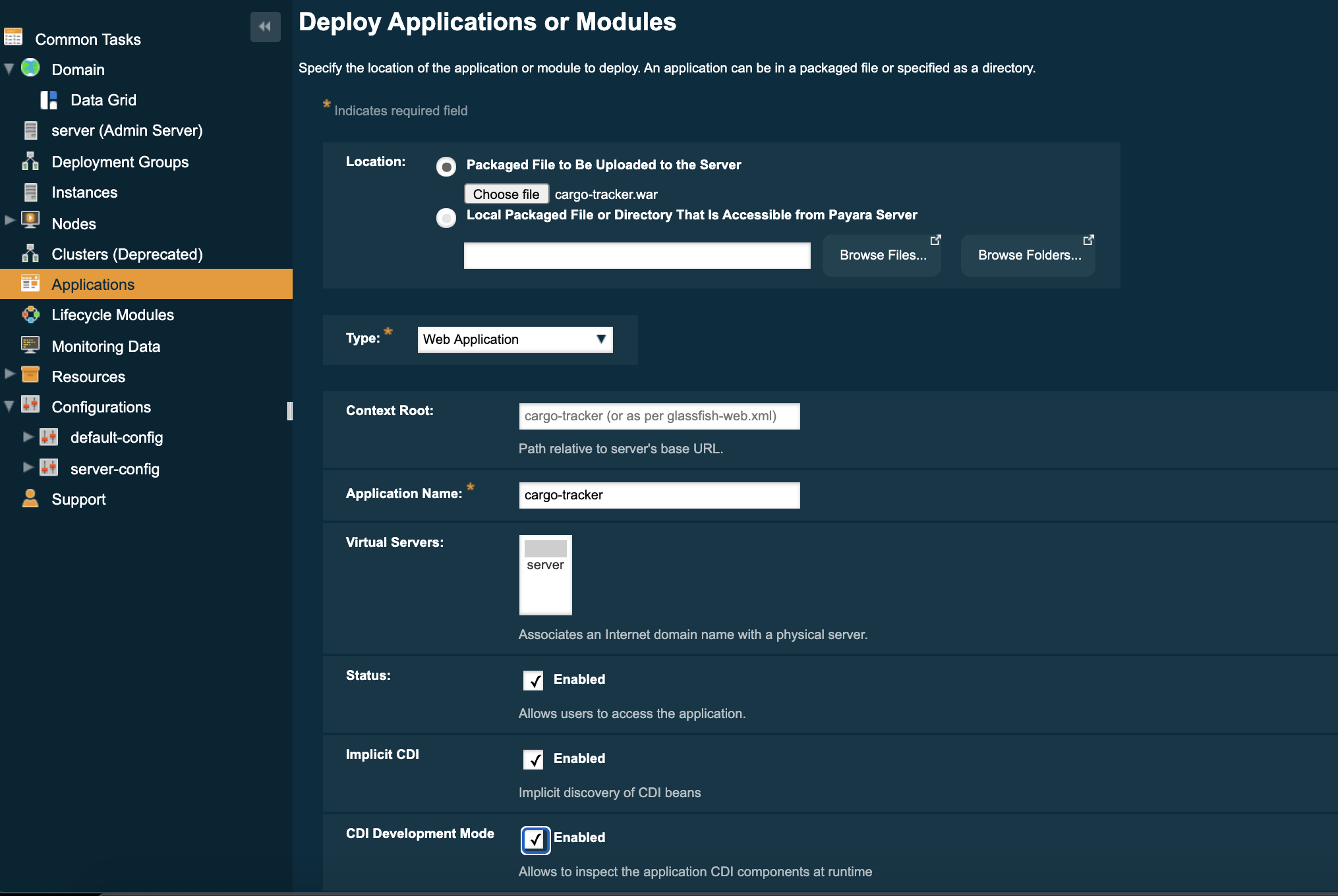 console enable at deploy