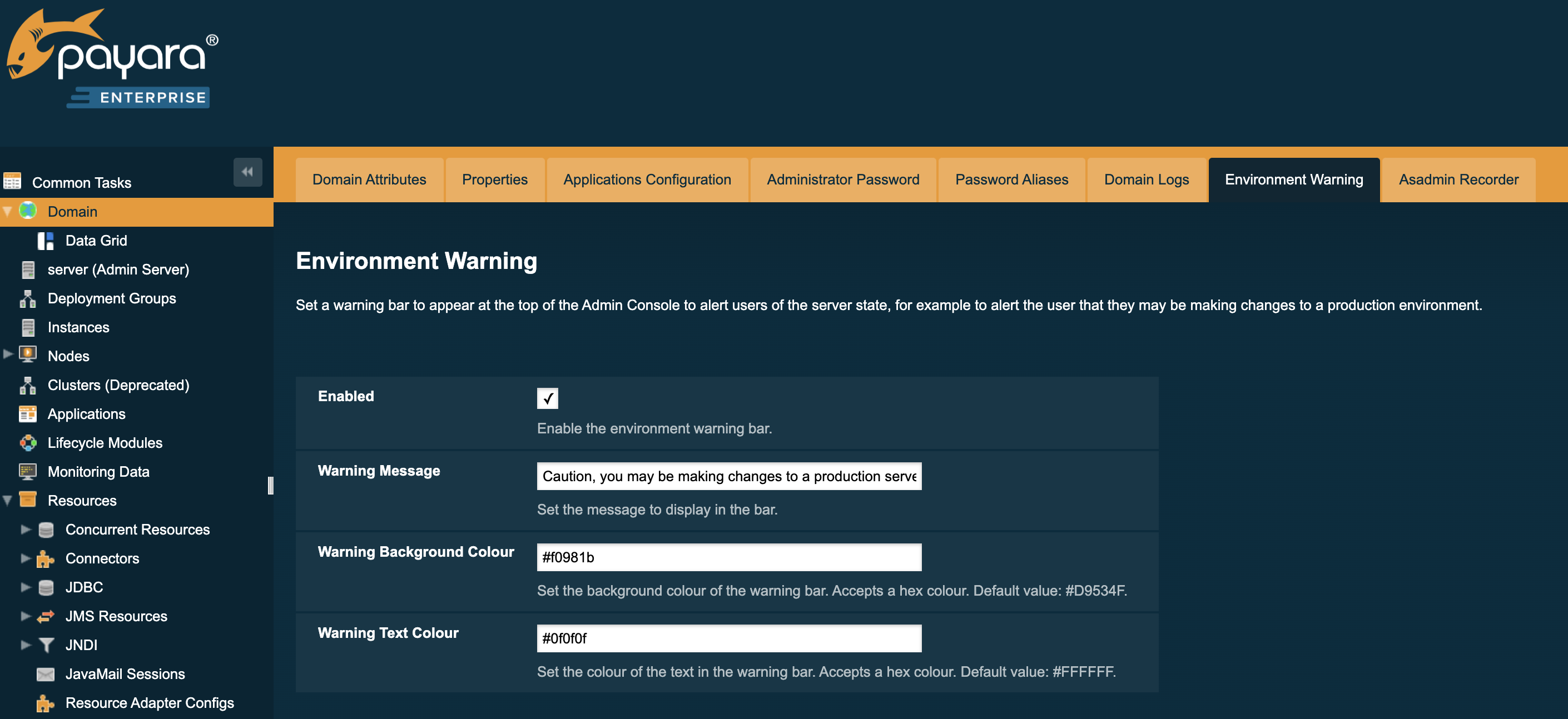 Payara Server 172 Environment Warning screenshot
