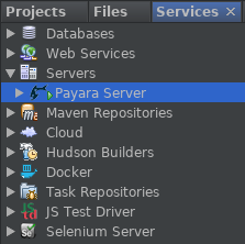 NetBeans Services