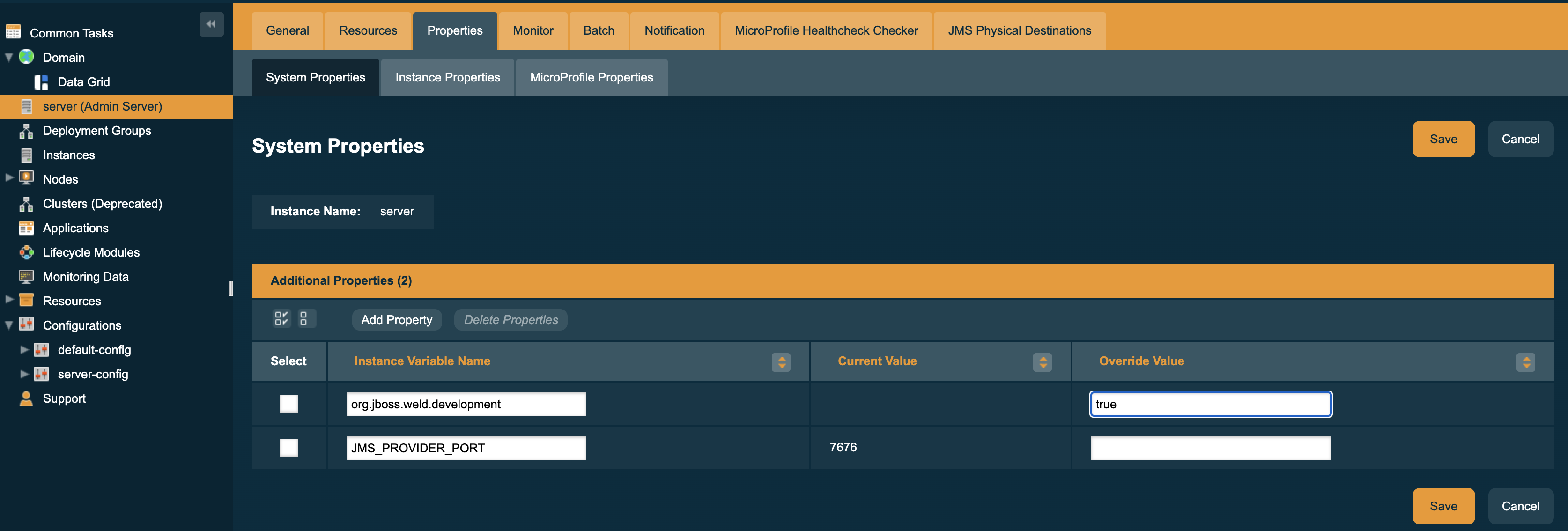 Set CDI Development Mode System Property