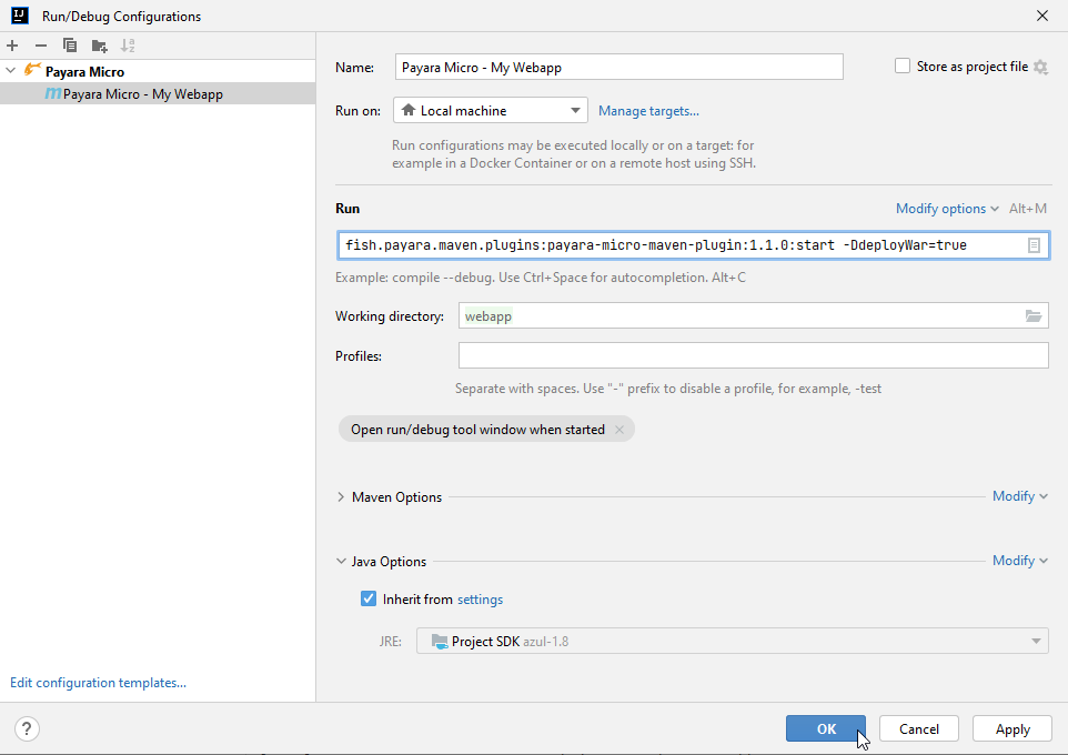 Complete Payara Micro Run Configuration