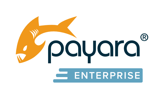 Payara Logo